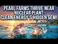 Pearl Farms Thrive Near Nuclear Plant: Clean Energy's Hidden Gem!