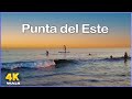 【4K】WALK 🏖  BEACH  Always Summer - Punta del Este  - URUGUAY