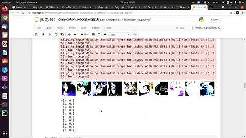 Computer Vision Starting Project in Python: Dogs vs Cats classifier VGG16 97% accuracy Explained!