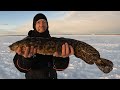 3 Days Ice Fishing in Alaska - Burbot Catch and Cook.