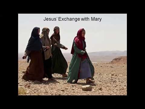 Video preview