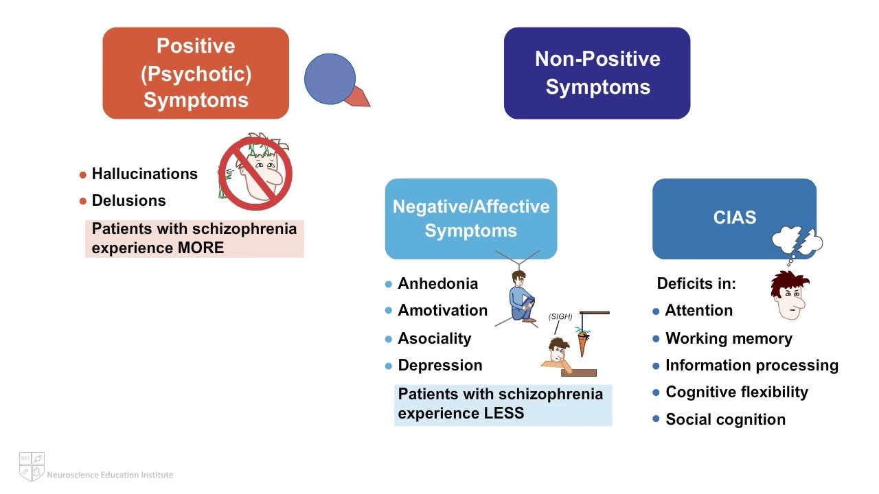 Schizophrenia Cognitive Symptoms Impact Of Cognitive Impairment In