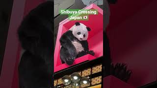 Experience of Tokyo's iconic Shibuya crossing, #tiktok #instagram #funny #comedy #music