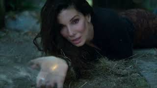 Practical Magic 2 (2026) 🔮 Review, Facts & Story Breakdown | Sandra Bullock & Nicole Kidman Return Profile