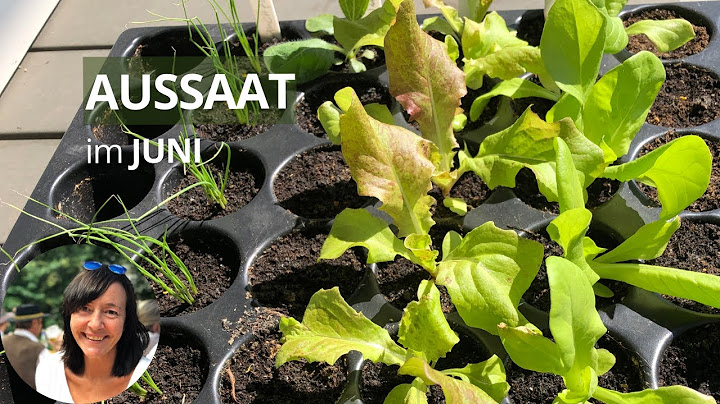 Aussaat im Juni - diese Gemüse könnt ihr im Juni vorziehen, direkt aussäen und pflanzen
