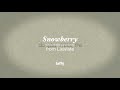 Taffy - Snowberry (Official Video)