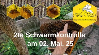 2nd swarm check on May 2, 2025