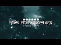 Dristir Pane Akashe Ceye - (Bangla Lofi) | দৃষ্টির পানে আকাশে চেয়ে | Ojanai | Tanveer Evan | Rabbi