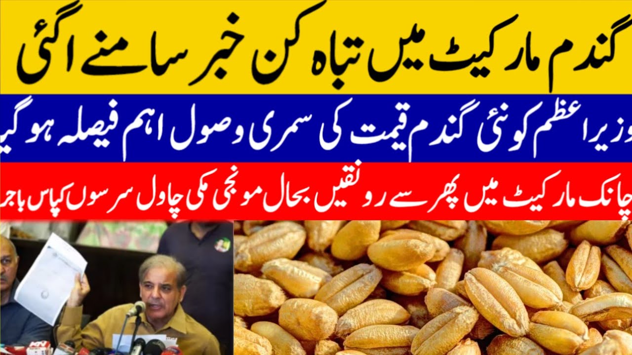 wheat price in pakistan 2024/ wheat support price 2024| gundam ka rate ...