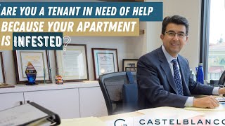 COCKROACHES IN YOUR APARTMENT? CALL TENANT ATTORNEY ERIC CASTELBLANCO 1-800-375-0001