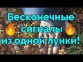 Бесконечные находки из лунки с Bounty Hunter Tracker IV на старой деревне!