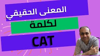 معاني أول مرة تسمع عنها لكلمة Cat | اتعلم انجلش صح #سياقك_حصانك