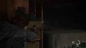 LAST OF US 2 Walkthrough No Commentary Part3 FULL GAME [PS4]