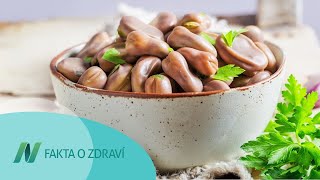 Léčba Parkinsonovy choroby pomocí bobu obecného (fava fazolí)