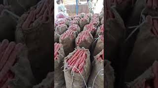 YasminMalik-Dv1 other country Maldives shahar please