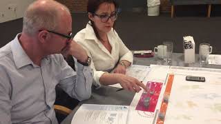 Why the Celemi Apples & Oranges Simulation?