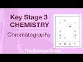 Chromatography Quiz