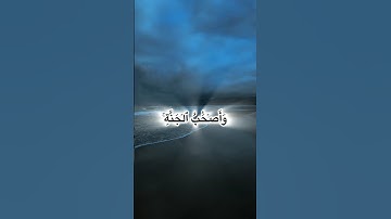 (سورة الحشر)  الآية [20] تلاوة خاشعة #quran #تكبيرات #المصحف 💙