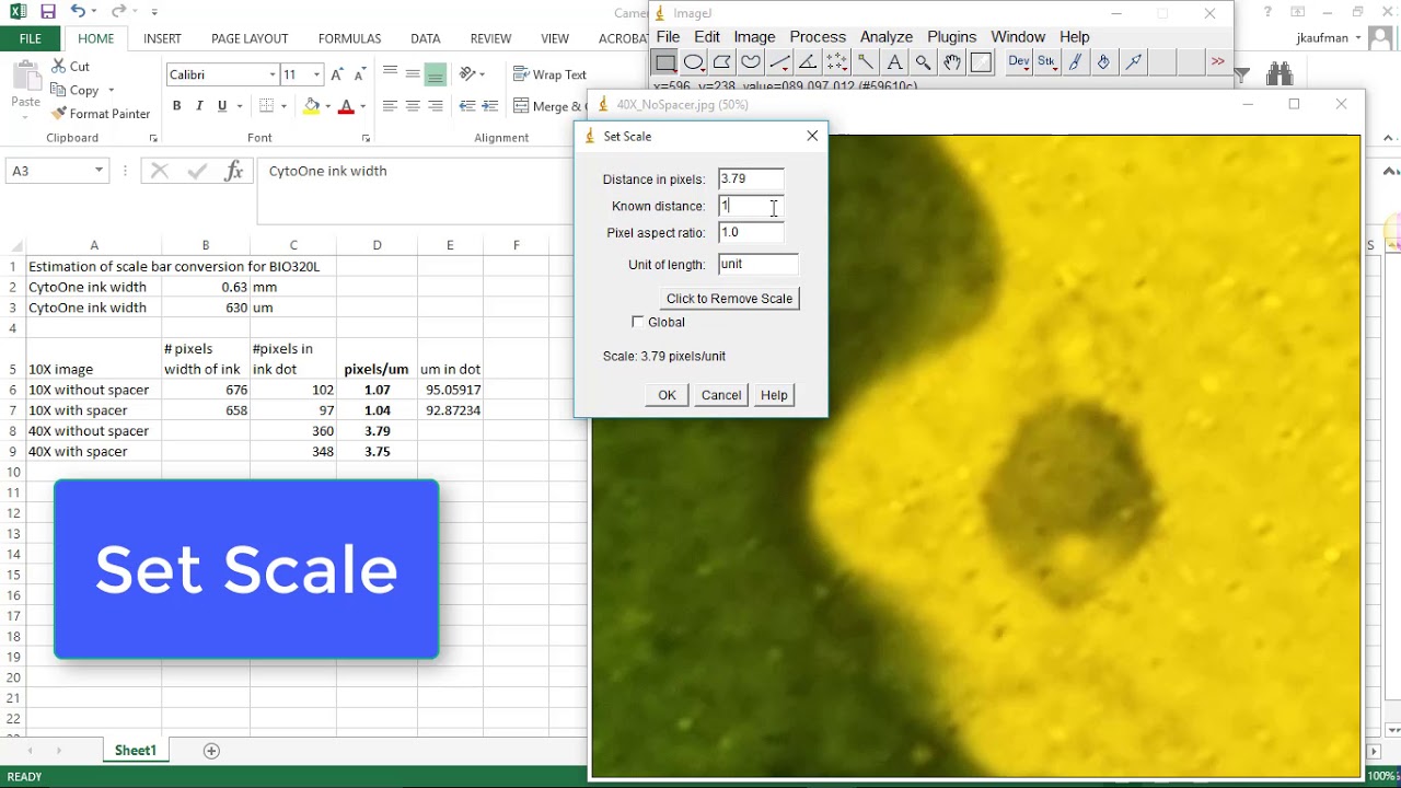 How To Add Scale Bar In Imagej