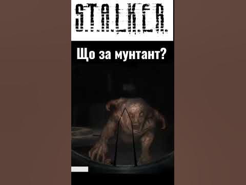 ЩО ЗА МУТАНТ? Сталкер Тінь Чорнобиля - YouTube