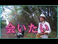 テナーサックスで唄う「会いたい」 #懐かしいメロディ #沢田知可子  #会いたい