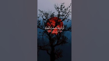 إن الذين قالوا ربنا الله 🌿تلاوة من سورة الاحقاف 🌿للقارئ احمد خضر 🌿