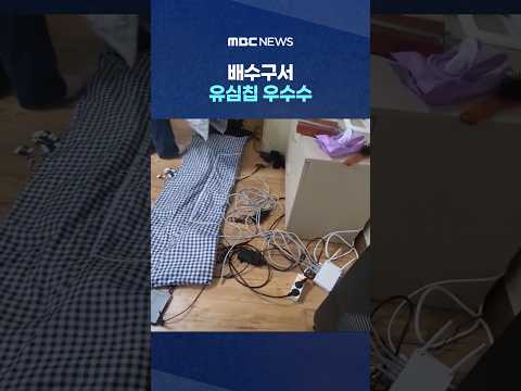배수구서 유심칩 우수수‥'<strong>피싱</strong> 중계기' 일당 덜미 #Shorts (MBC뉴스)