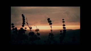 Devils Elbow  - Draw Down (Official Video)