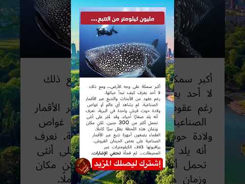 أكبر سمكة على الارض و لا أحد يعرف كيف او اين تولد