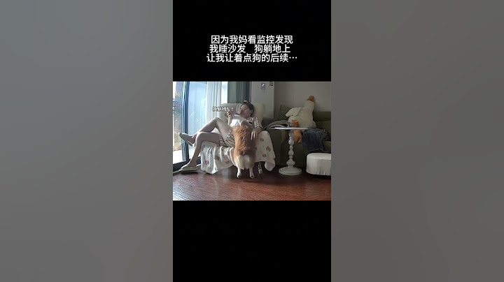 我真的只是一个没有一点家庭地位的狗主人和女儿罢了#傻狗的日常