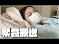 3ヶ月お休みした理由と今後について【概要欄も見てね】