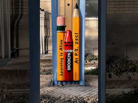 P.S. 235 Janice Marie Knight School Brooklyn NY #shorts #school #students #newyork #motivation #usa