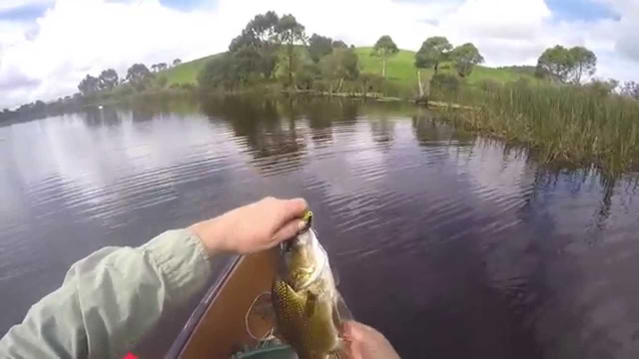 fly fishing for australian bass YouTube