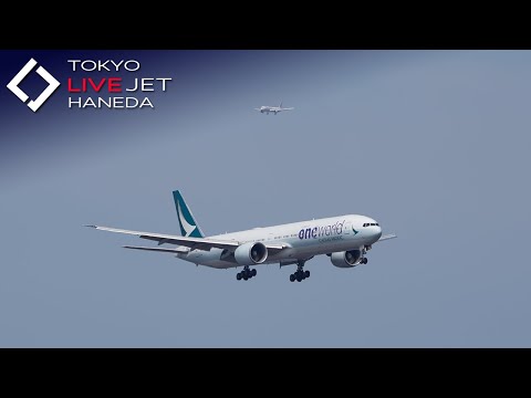 - LIVE - 羽田空港 ライブ カメラ 2025/11/2 TOKYO International Airport HANEDA HND Plane Spotting
