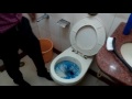 Video Image