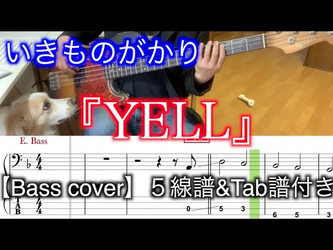 いきものがかり/YELL【Bass cover】５線譜&Tab譜付き