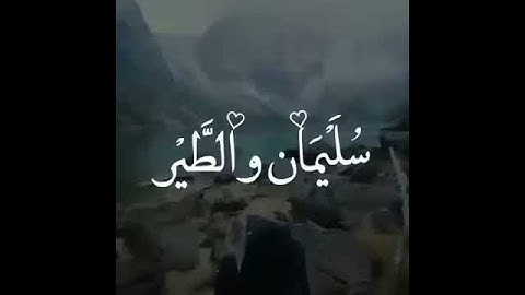 القارئ اسلام صبحي ماشاءالله تبارك الرحمن