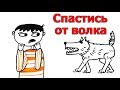 Как спастись от волка?