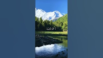 واتس اب قران كريم القارئ ياسر دوسري (سوره المطففين)