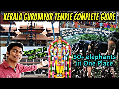 🛕GURUVAYUR KRISHNA TEMPLE VLOG!!! Elephant Kotta Camp | ₹200 Dormitory Accommodation | Naveen Kumar