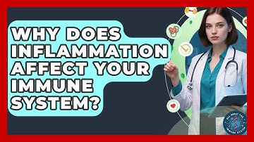 Why Does Inflammation Affect Your Immune System? - All About the Immune System