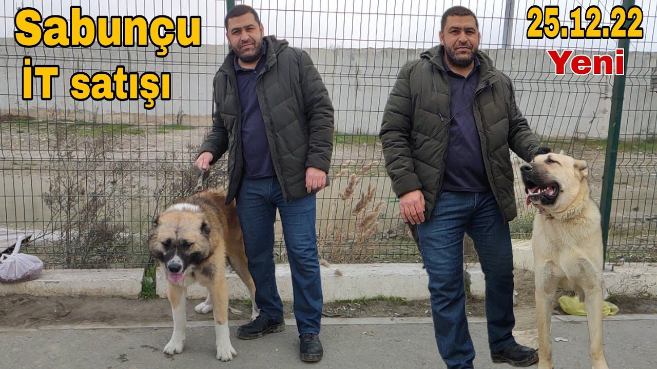 Sabunçu İT bazarı 25.12.2022
