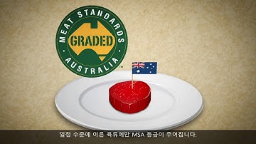 Understanding the MSA Program (Korean VO and subtitles)