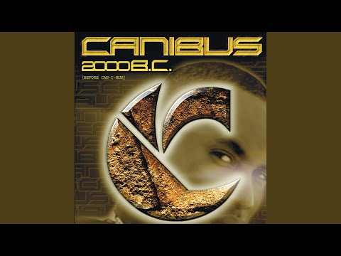 The C-Quel