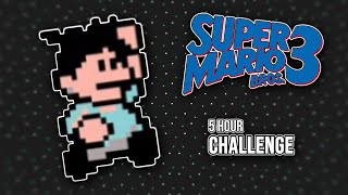 The Super Mario Bro. 3 Challenge (Liam Highlights)