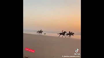حب الدنيا تجارب بعيد عليك ولا قريب الأغنية التي يبحث عنها الجميع 