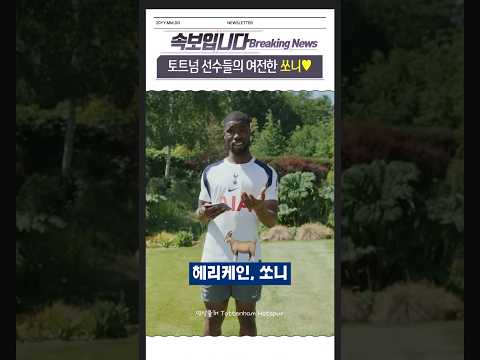 토트넘 선수들에게 여전히 사랑받는 손흥민 #뉴스 #속보 #축구 #토트넘 #손흥민 #LAFC