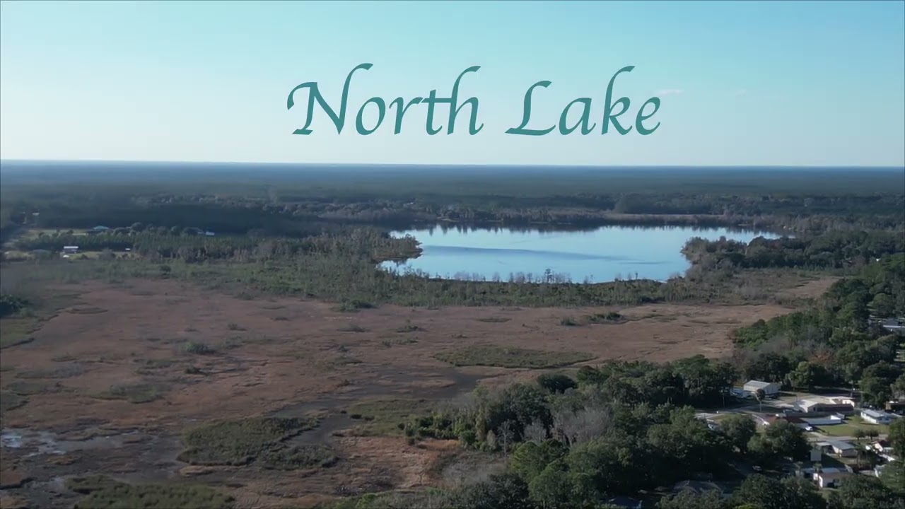 Ocala National Forest