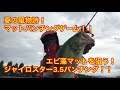 【バス釣り】夏の風物詩なマットパンチングゲーム！  ジャイロスター3.5inch炸裂っ！  小雨な中のエビ藻マットパンチングでGOODサイズ！！