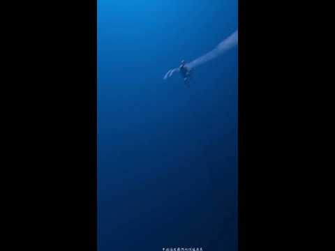 under-sea